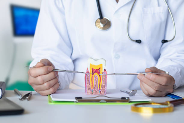 Best Dentist for Severe Toothache  in Sand Hill, PA